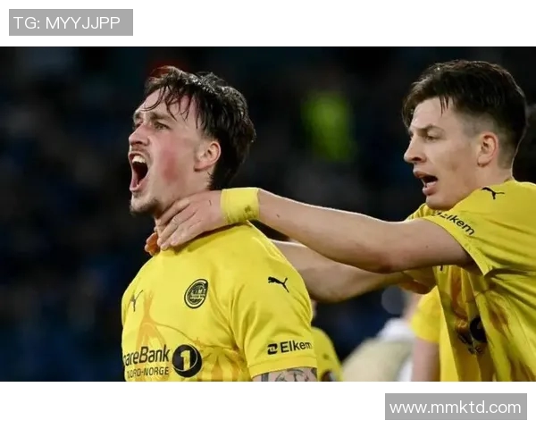 沃尔夫斯堡主场大捷，3-1击败弗莱堡，豪取三分！